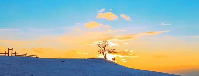 我的2017全文,国家35个主要城市名单