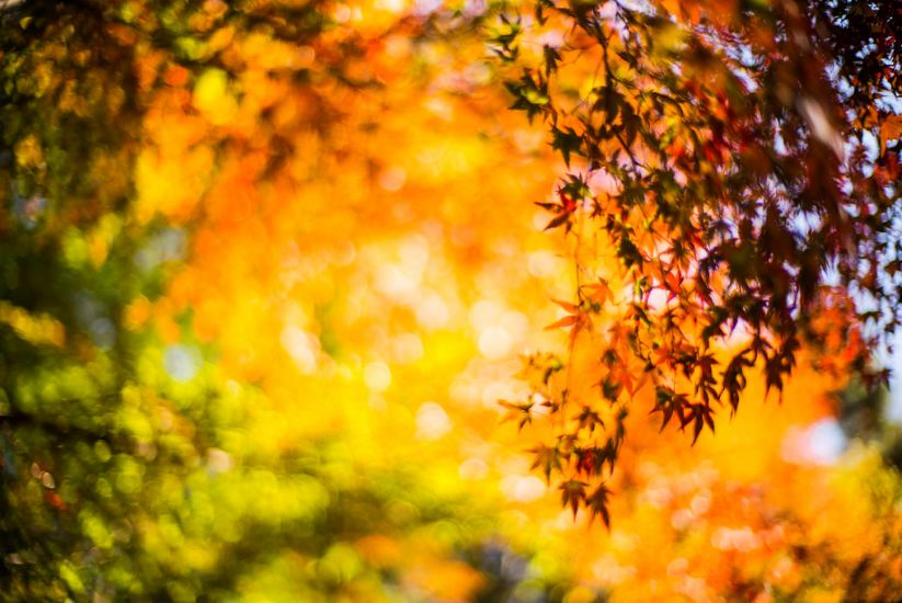 为什么我会在2018年买LeicaM-P的4个理由