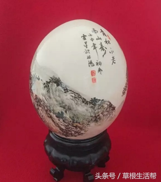 养殖“大笨鸟”,敲开致富门,80后回老家创业成为新一代农场主