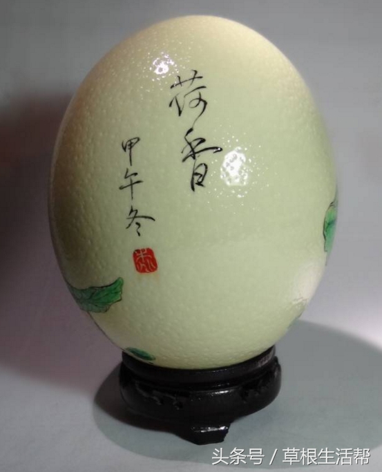 养殖“大笨鸟”,敲开致富门,80后回老家创业成为新一代农场主