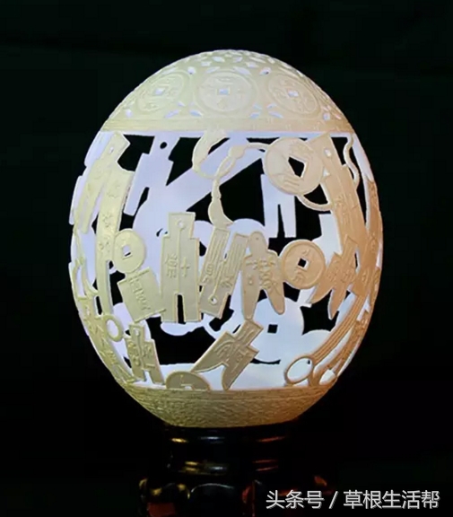 养殖“大笨鸟”,敲开致富门,80后回老家创业成为新一代农场主