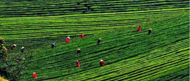 留在高淳还是去南京,在南京一定要去高淳吗