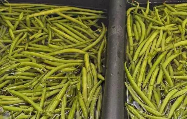 醉美食教程,酸菜腌制配方大全