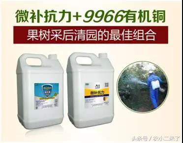 铜制剂?到底是什么东西?有什么用?