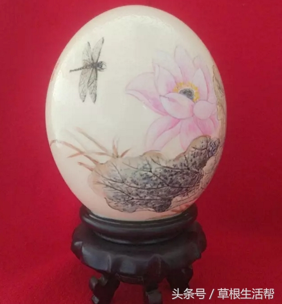 养殖“大笨鸟”,敲开致富门,80后回老家创业成为新一代农场主