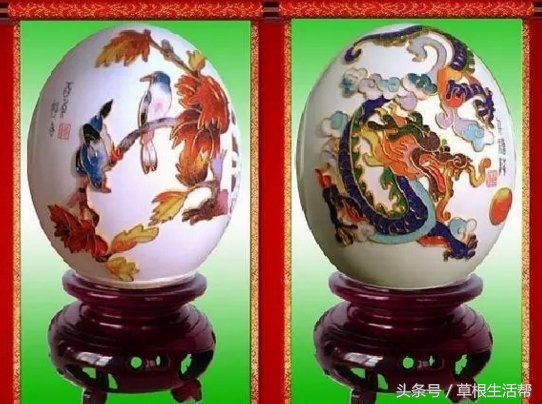 养殖“大笨鸟”,敲开致富门,80后回老家创业成为新一代农场主