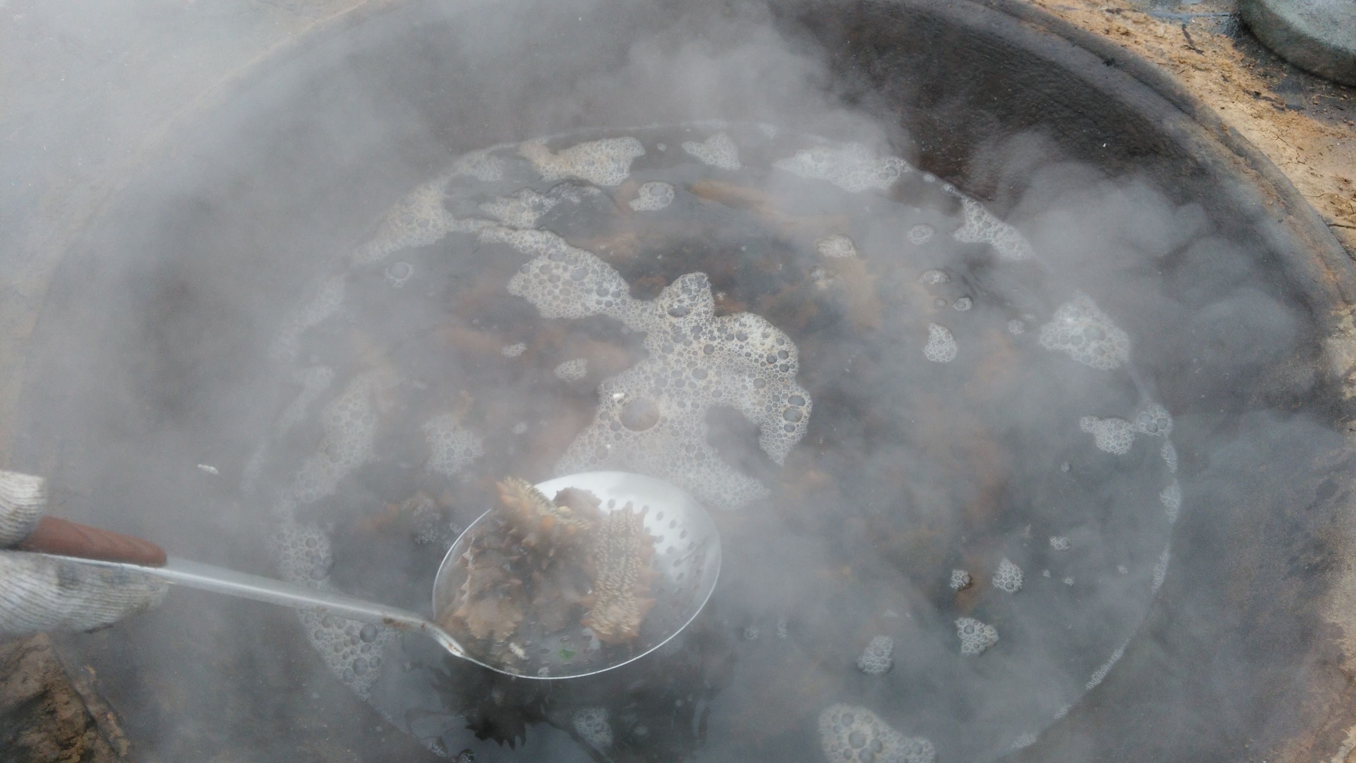 鲜活海参怎样处理好,鲜活海参处理方法