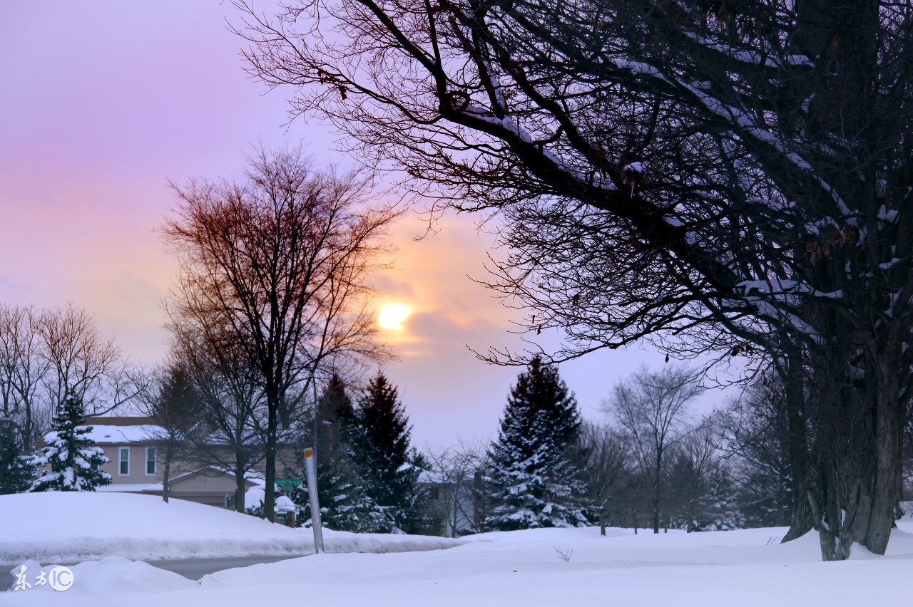 纯洁的雪又如纯真的心灵,纯洁的雪和纯净的心