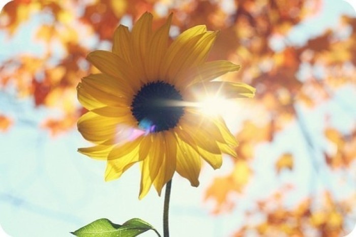 2017年你过得好吗累吗,2017是最好的一年