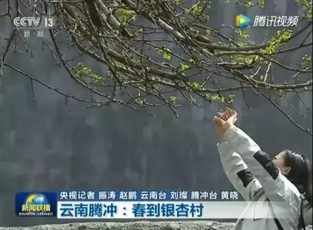 再见云南腾冲,再见2017动态图片