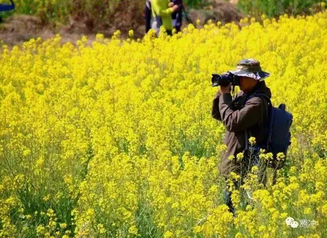 再见云南腾冲,再见2017动态图片