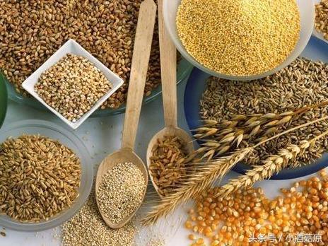 枸杞酿造的白酒和粮食酿造的白酒,白酒酿造原料及辅料您知道多少