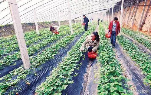 过去免费的致富金点子,四条致富指南请你用心收藏