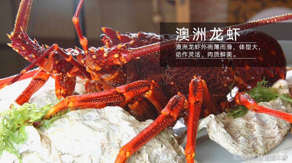 海鲜市场里面东西正品吗,海鲜市场里的秘密