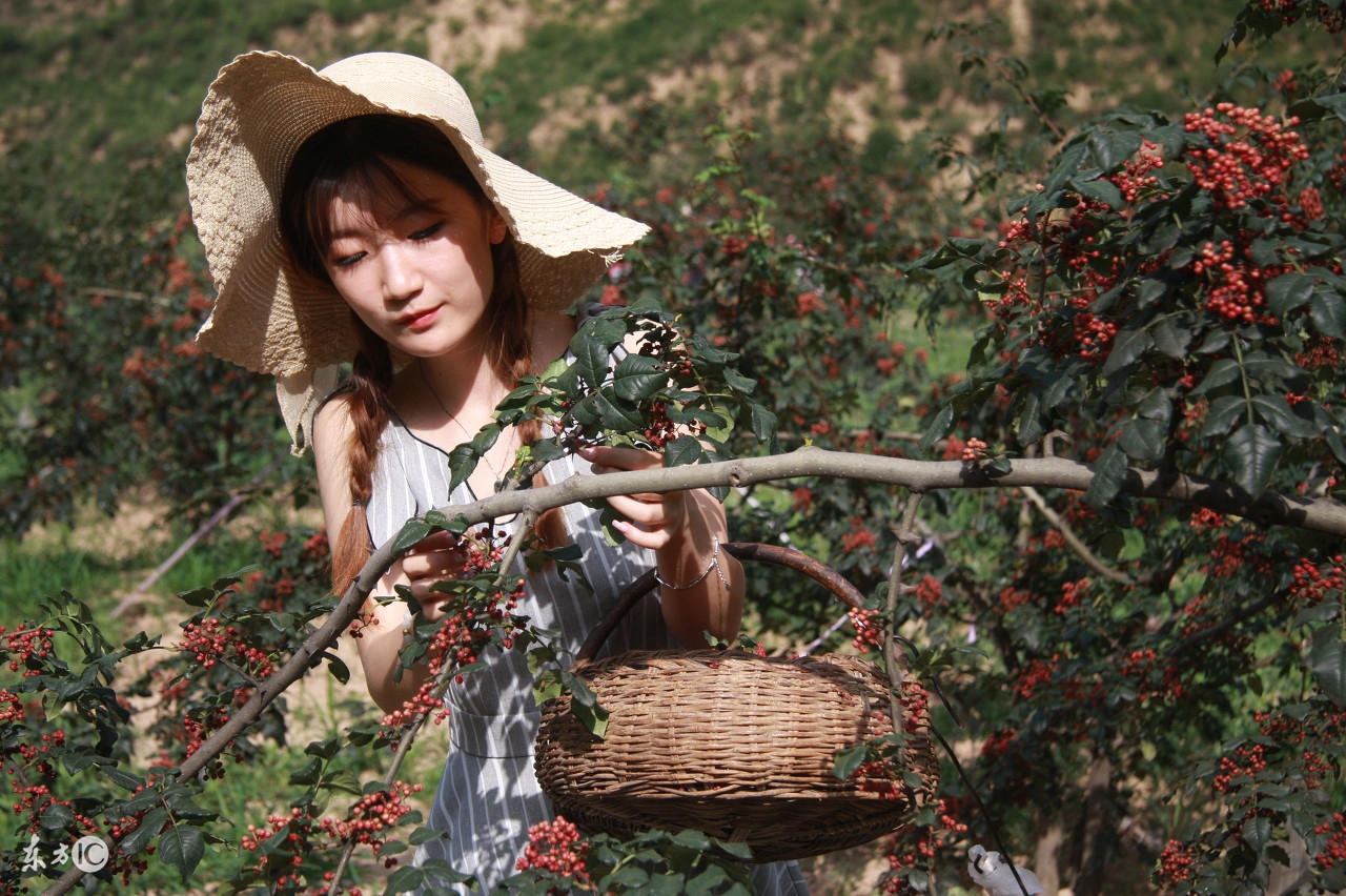 什么八字女人不易怀孕,什么八字女人不合群