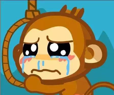 狂言君:看火箭必备的速效救心丸都从休斯顿进口?