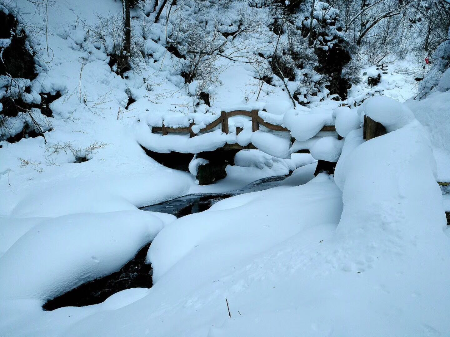 辽宁朝阳凤凰山传说,大凤凰山在哪里