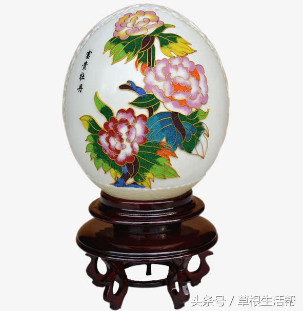 养殖“大笨鸟”,敲开致富门,80后回老家创业成为新一代农场主