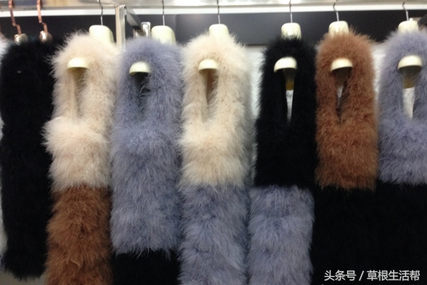 养殖“大笨鸟”,敲开致富门,80后回老家创业成为新一代农场主