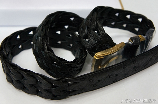 养殖“大笨鸟”,敲开致富门,80后回老家创业成为新一代农场主