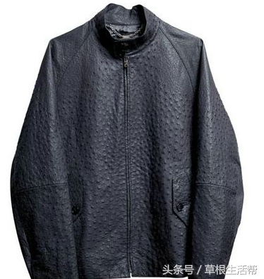 养殖“大笨鸟”,敲开致富门,80后回老家创业成为新一代农场主