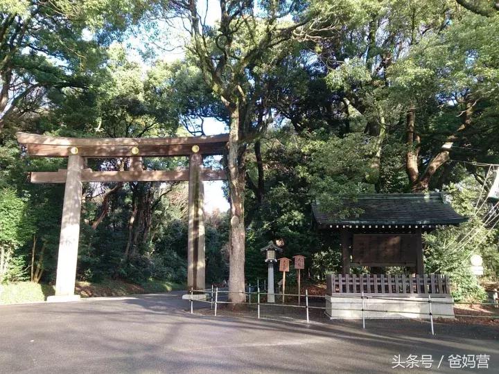 寒假日本亲子游攻略,日本亲子游最佳路线攻略