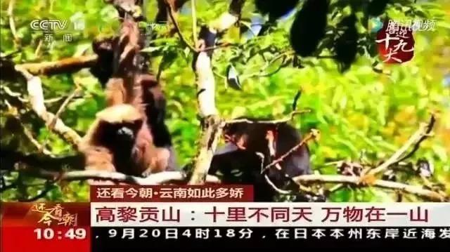 再见云南腾冲,再见2017动态图片