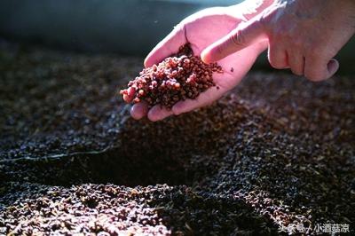 枸杞酿造的白酒和粮食酿造的白酒,白酒酿造原料及辅料您知道多少