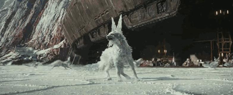 原来一月份的片单这么强，跨年后有事干了