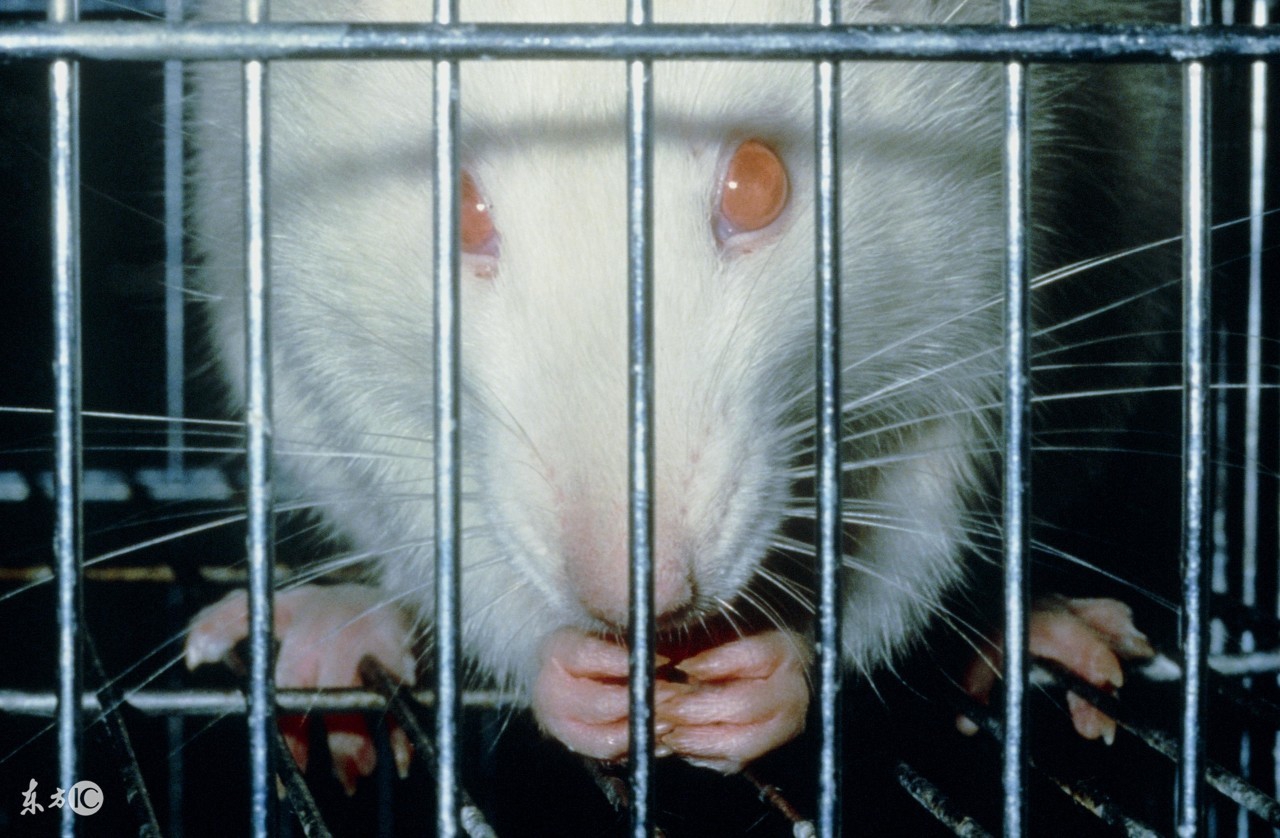 怎么能知道自己健不健康,想知道自己的健康情况