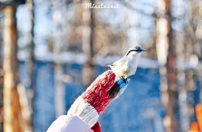 我的2017全文,国家35个主要城市名单