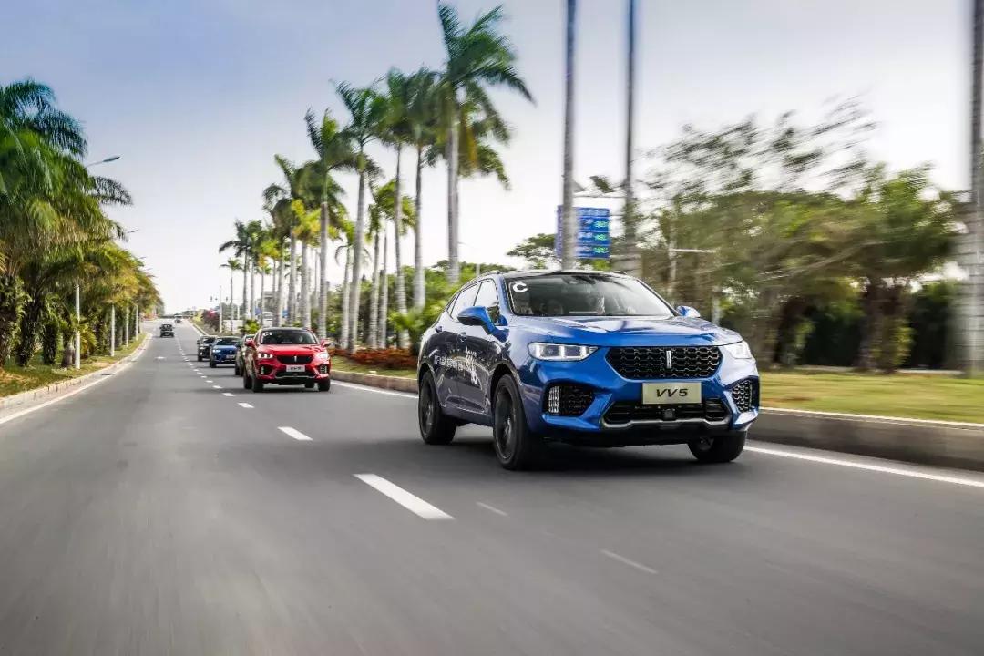 wey哪款比较好,wey哪款好