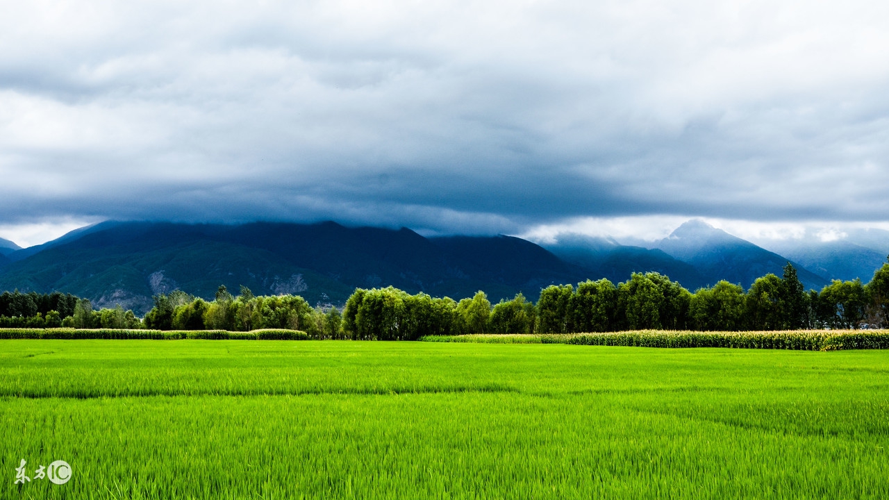 都说甘肃旅游没有人去兰州,其实不然,这里才是兰州正确开发方式