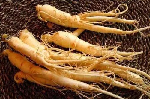 人参西洋参丹参沙参红参,丹参沙参玄参西洋参同用效果怎样