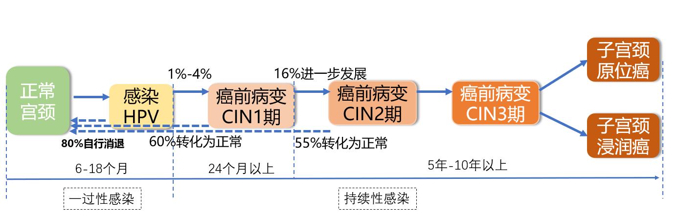 HPV病毒系列：中国不同地区女性宫颈癌中HPV亚型分布数据（二）