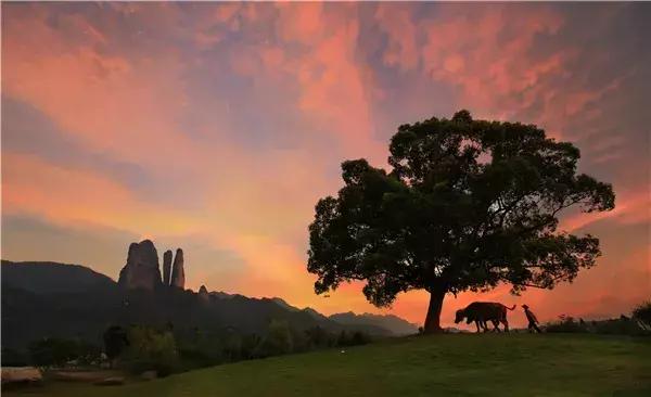 新年第一天去海边看日出,去海边看日出拍的照片