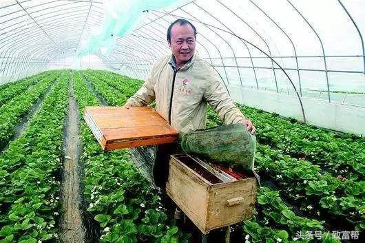 过去免费的致富金点子,四条致富指南请你用心收藏