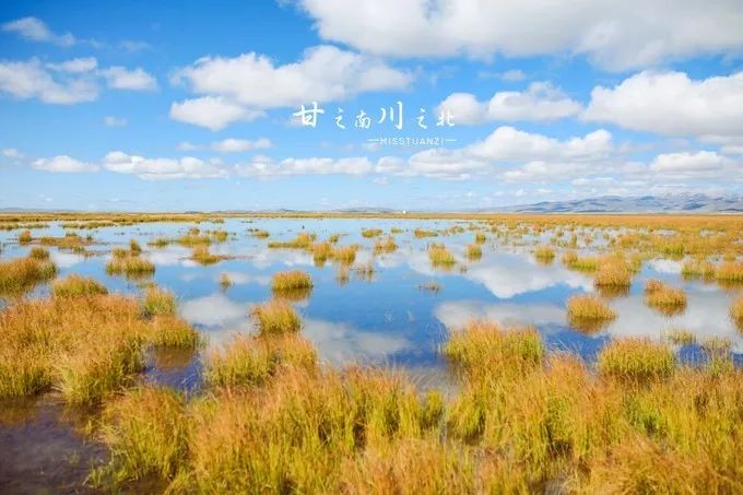 我的2017全文,国家35个主要城市名单