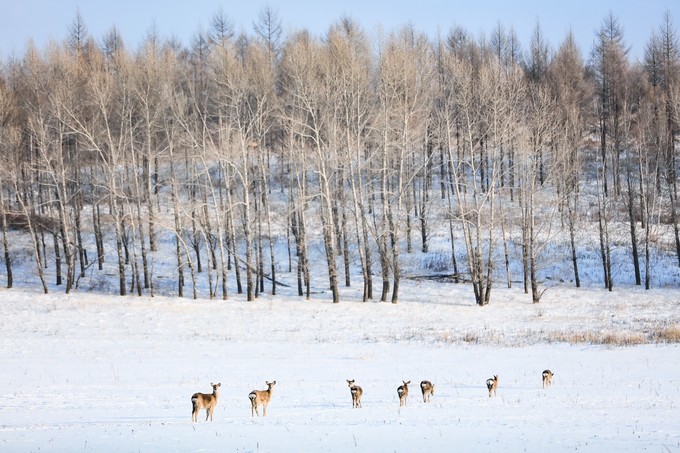 我的2017全文,国家35个主要城市名单