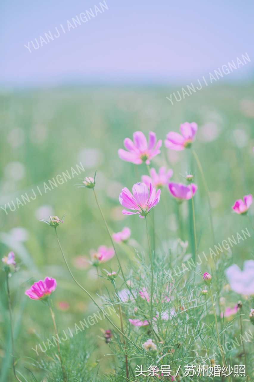 苏州浪漫城堡婚纱照,苏州景色婚纱照