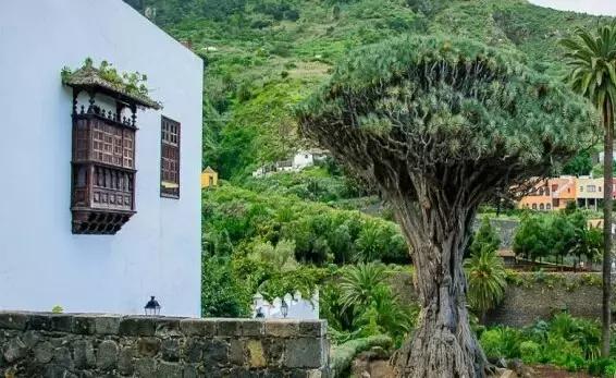 走访三毛的西班牙朋友,三毛住在西班牙哪里