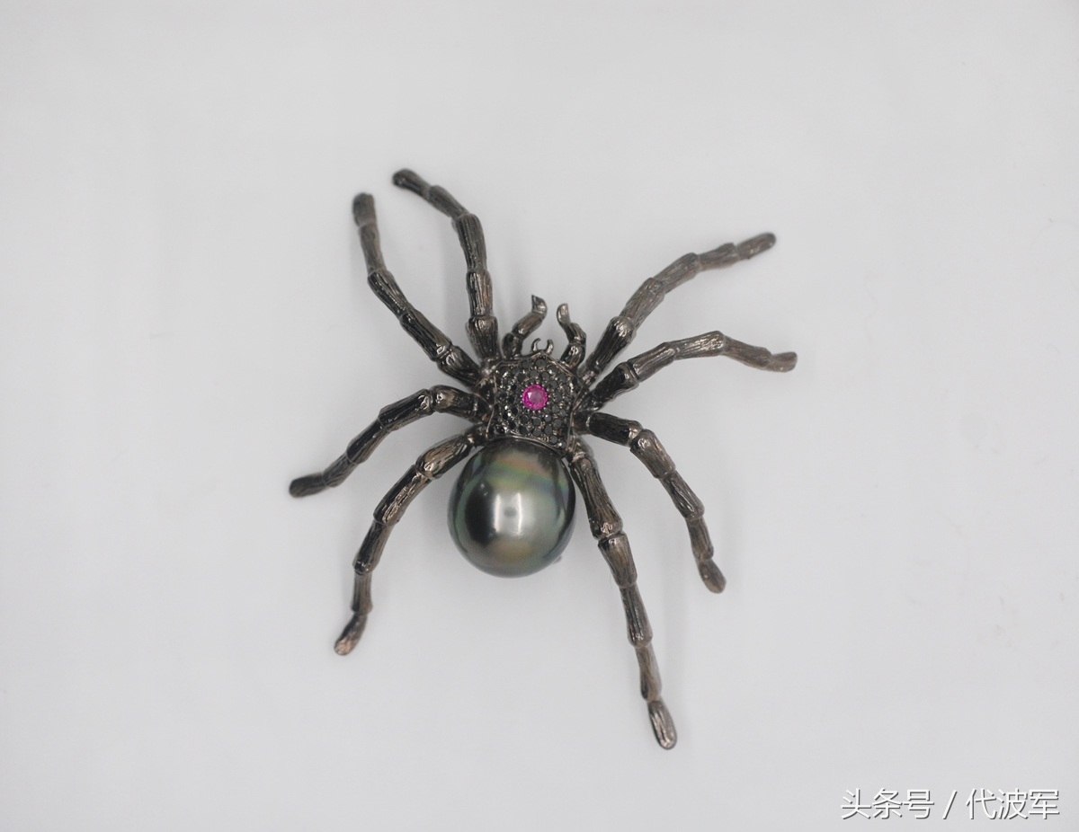 蜘蛛吊财神到有道理吗,吊蜘蛛预示什么