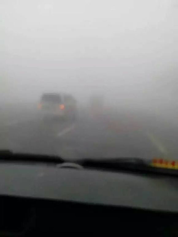 美食美客与您分享,美食美客带你感受美味的世界