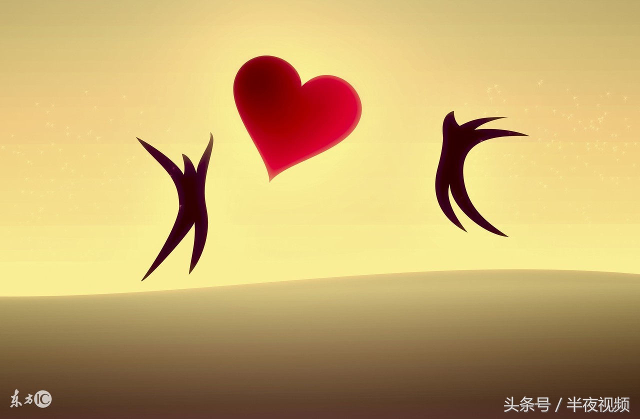 后来才明白遇见的就应该去珍惜,到后来才明白遇见了就应该珍惜