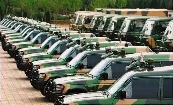 猎豹的优点和弱点,长城猎豹的质量