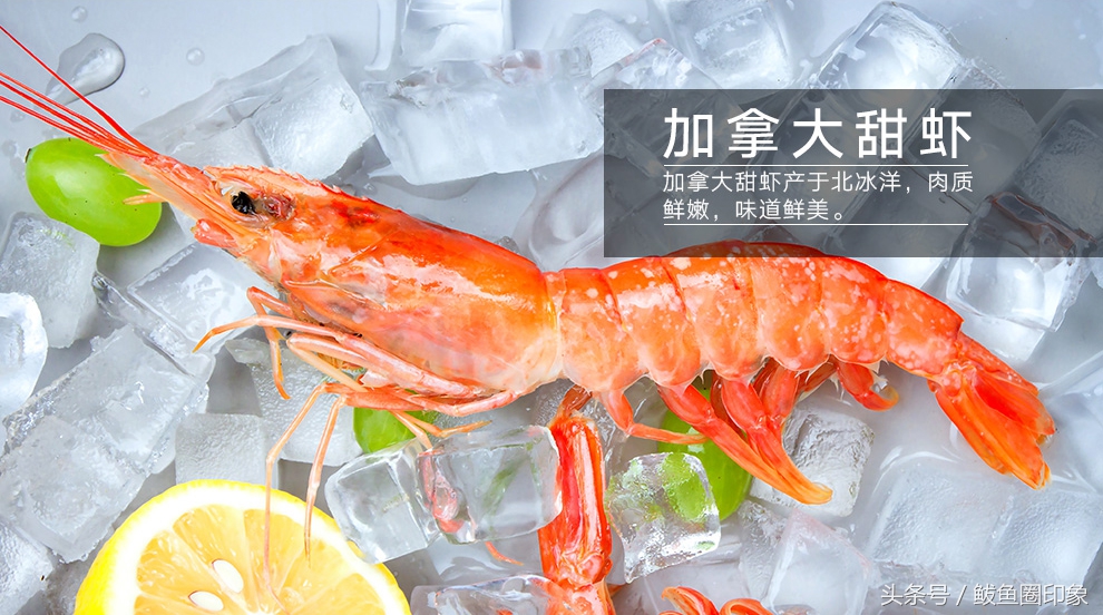 海鲜市场里面东西正品吗,海鲜市场里的秘密