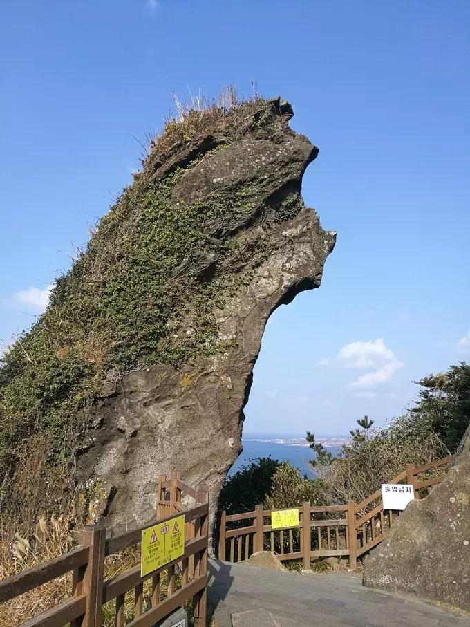 济州岛三日游最佳路线图,济州岛四天三晚游记