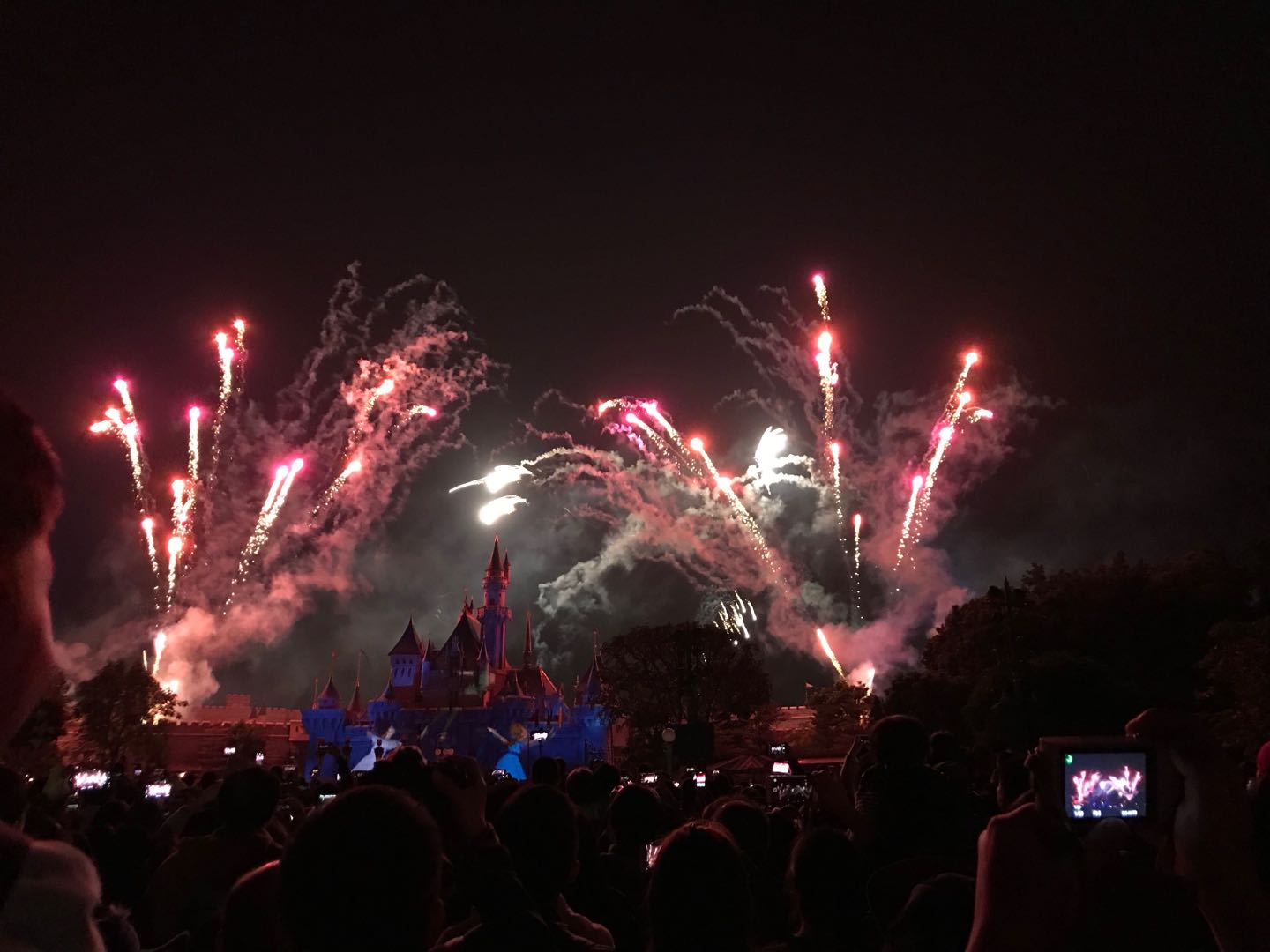 香港游记之湾仔,香港旅游所见所闻