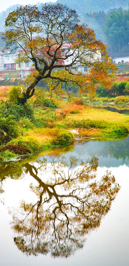 二胎妈最新视频,二胎妈妈的逆袭之路