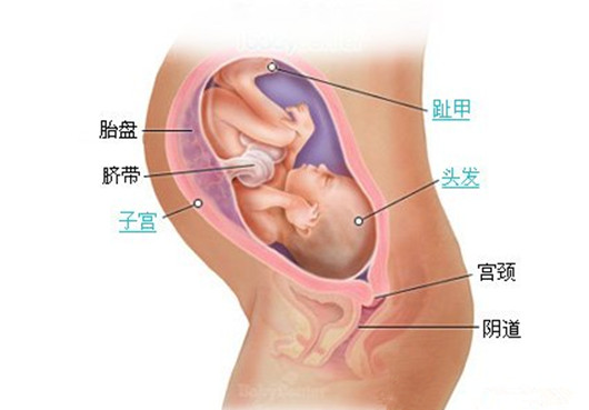 孕32周要补充什么营养,孕32周加强营养